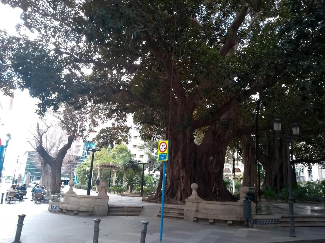 La Estrella de Alicante