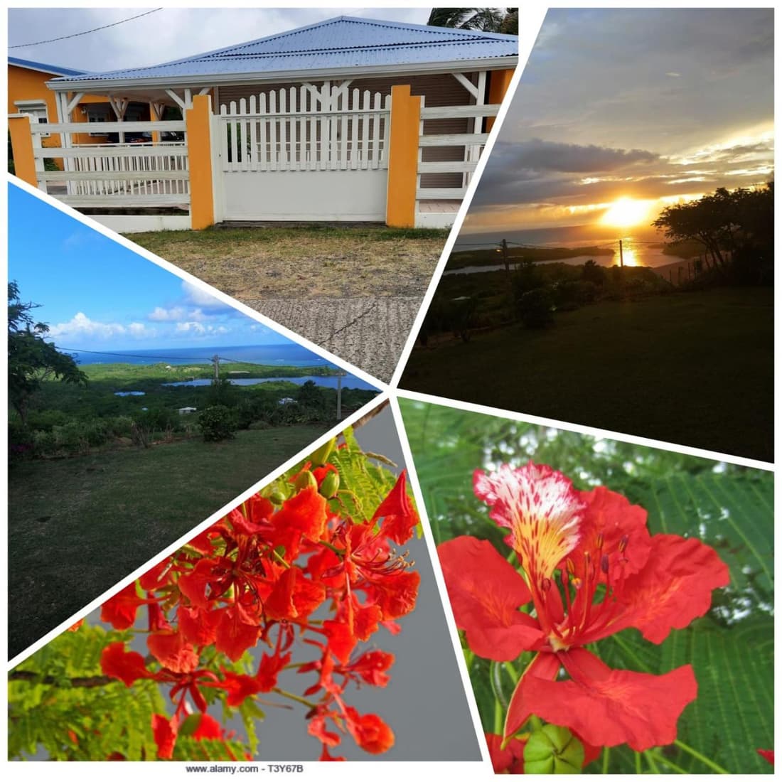 Villa le flamboyant