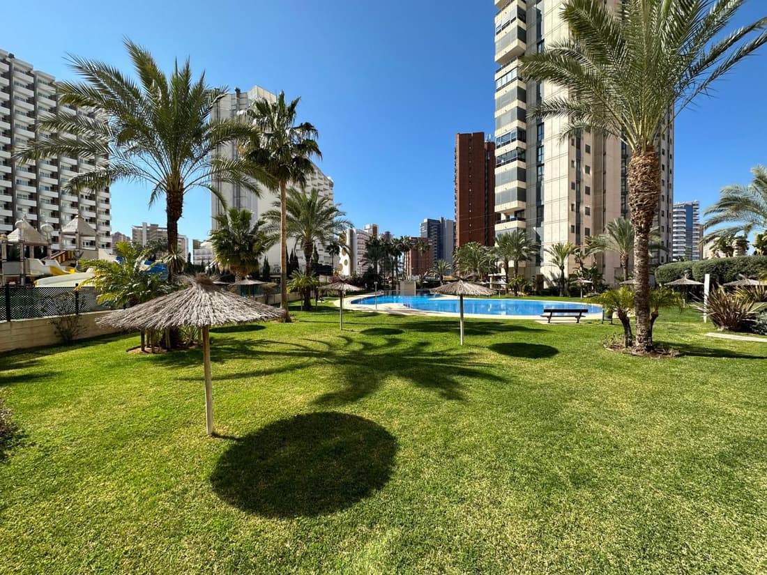 LUXURY Residence Gemelos 26