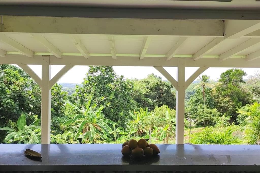 Appartement spacieux, soigné et tout confort sur la Trinité