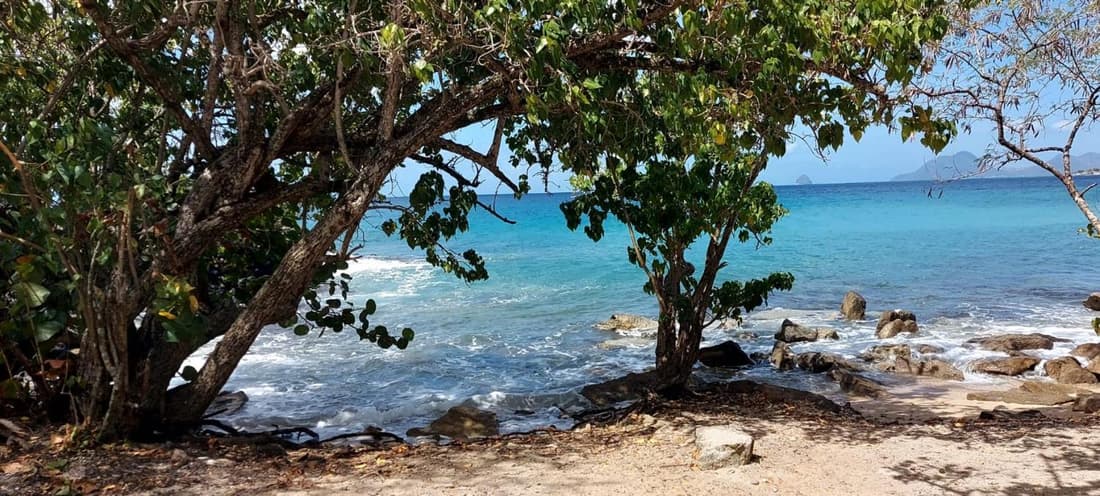 Bel Bonjou, Votre maison tropicale au cœur du Sud Martinique