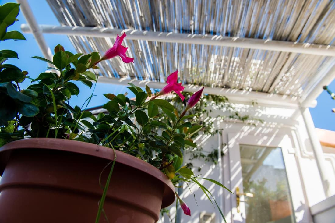 B&B Casa Dorsi
