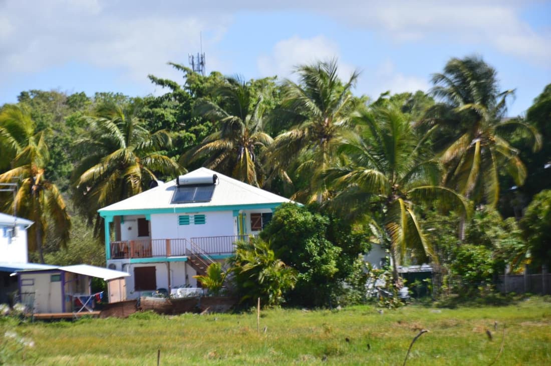 Caribgites
