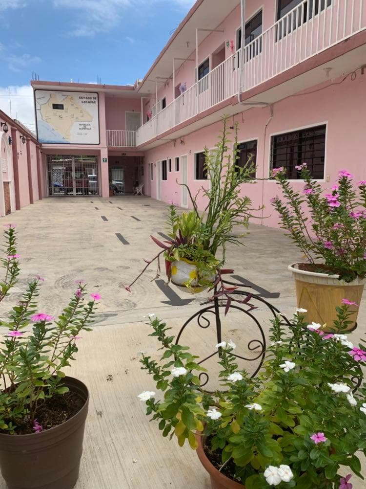 Hotel Jacaranda