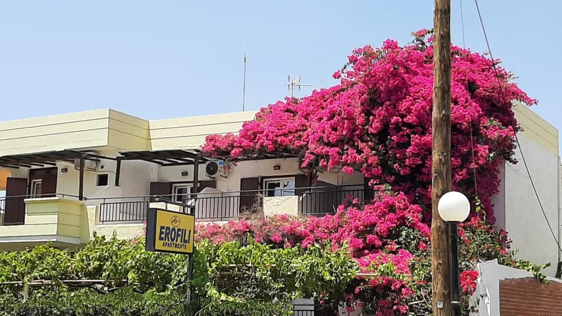 Erofili