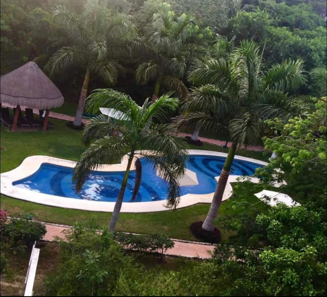 Cozy Apartments in Puerto Morelos