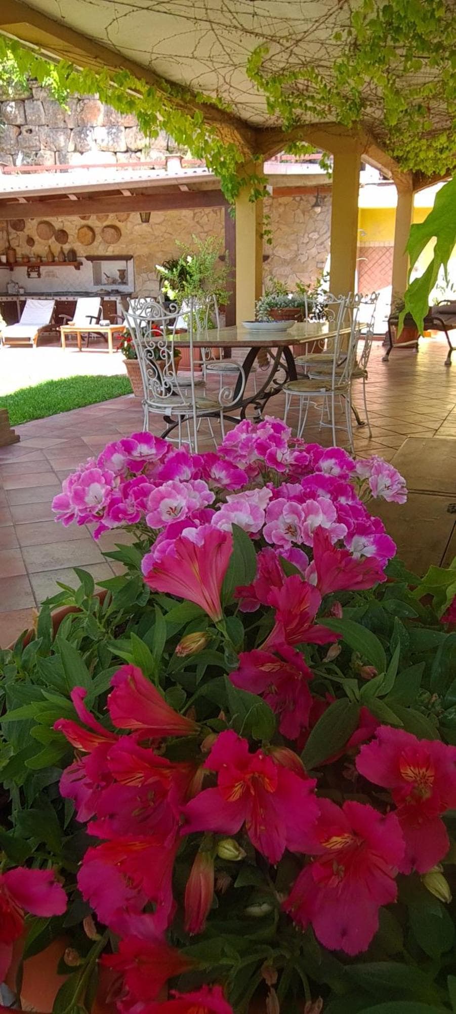 Villa Olga B&B