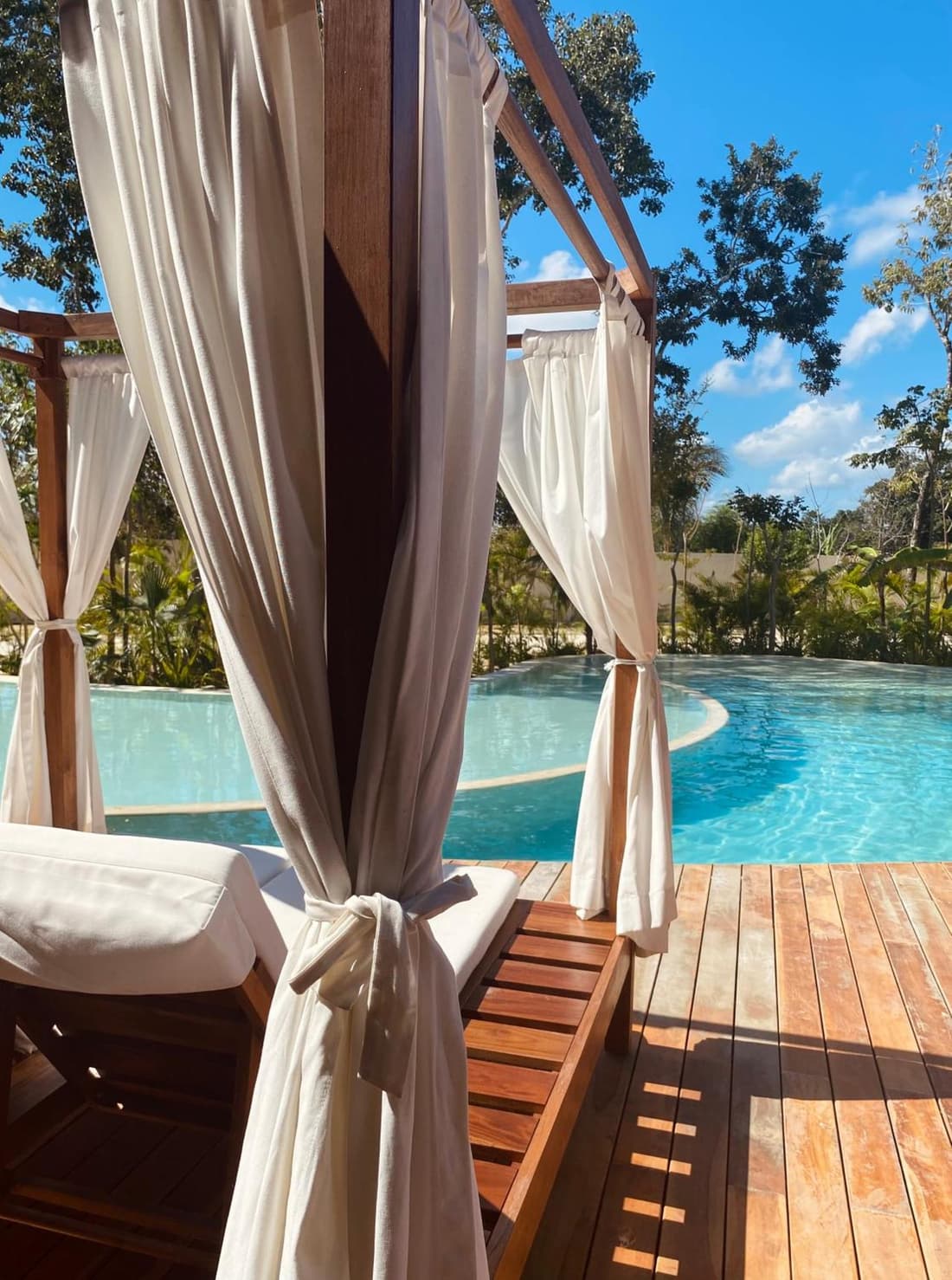 Luxurious Jungle Studio