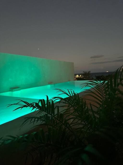 Breathtaking PH 5thAV ocean view private pool roof
