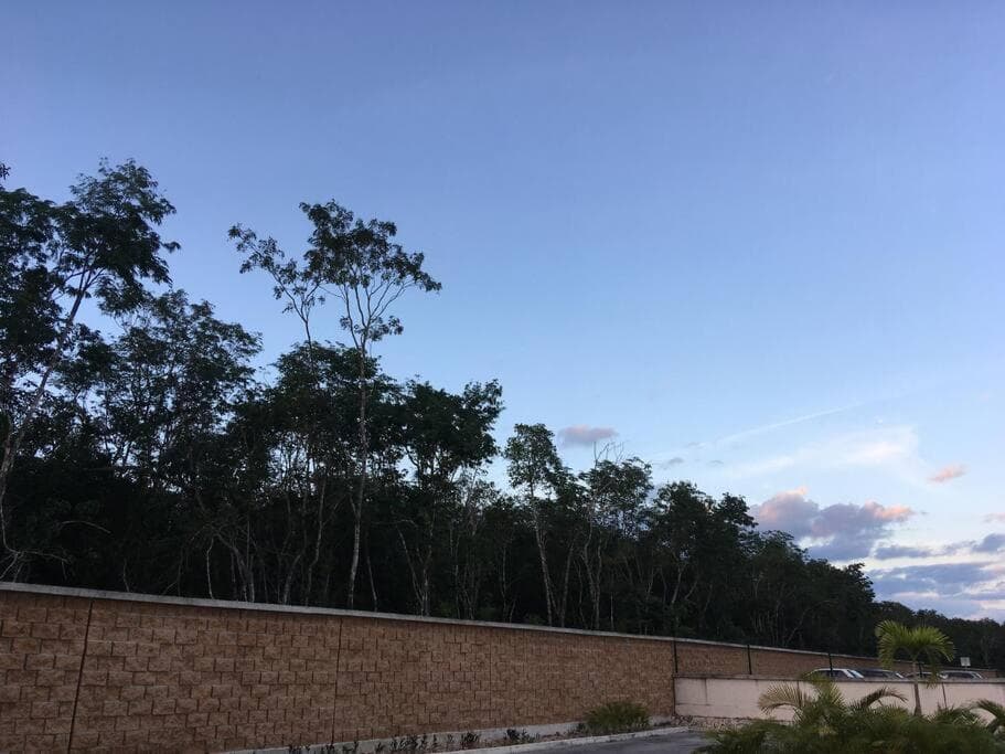 Departamento Tropical en Playa del Carmen