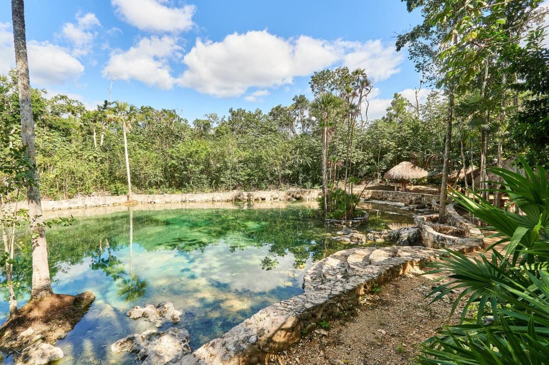 Villa Tortuga lux 4 Bdr Big garden*Pool *Cenote