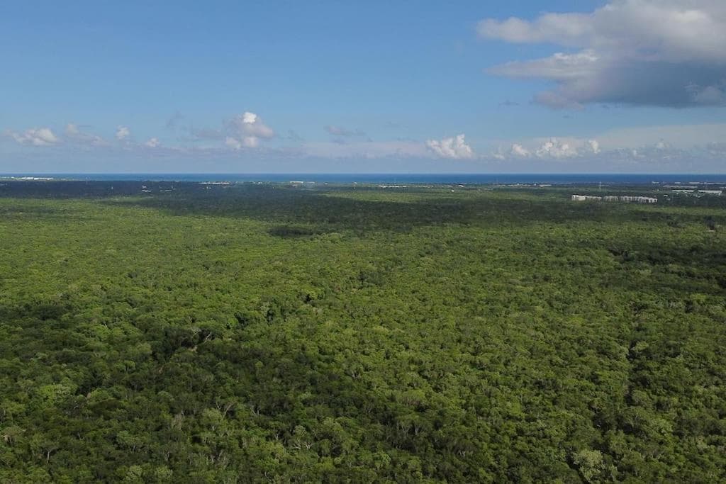 Palapa de la Selva with Cenotes