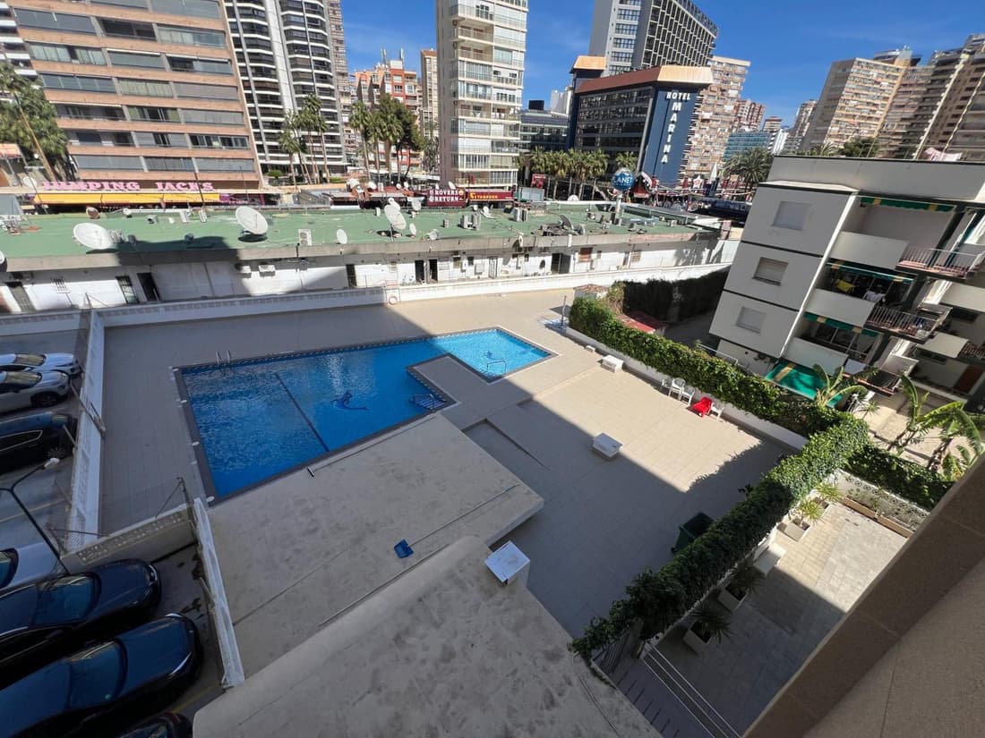 Caballos Lux playa levante