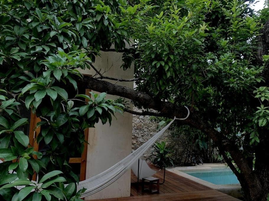 Hermosa Casa Antigua con Piscina Tropical