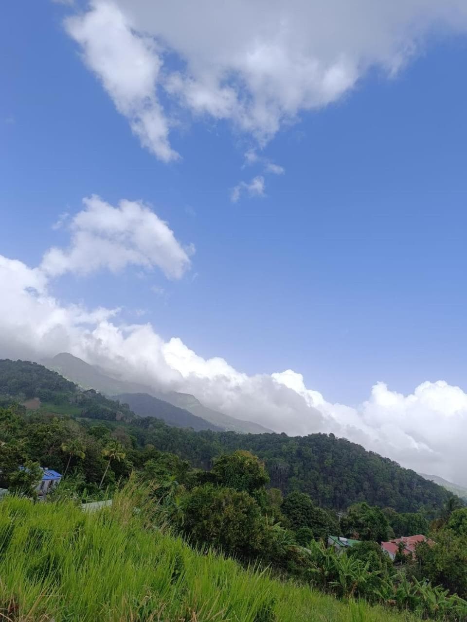 Lacazavanoo