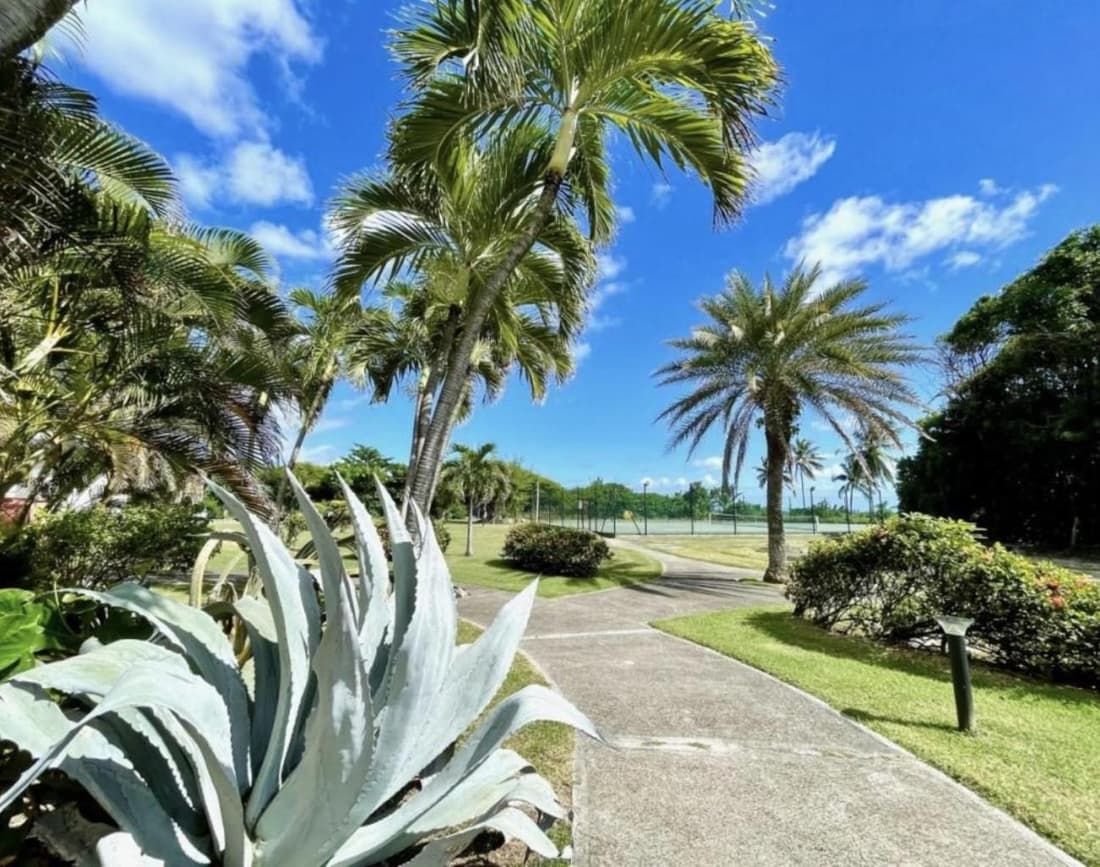 Studio Ananas Anse des rochers