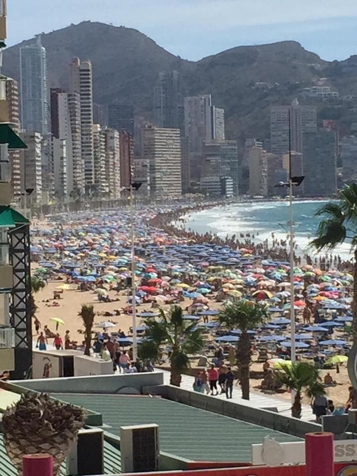 La Gavina