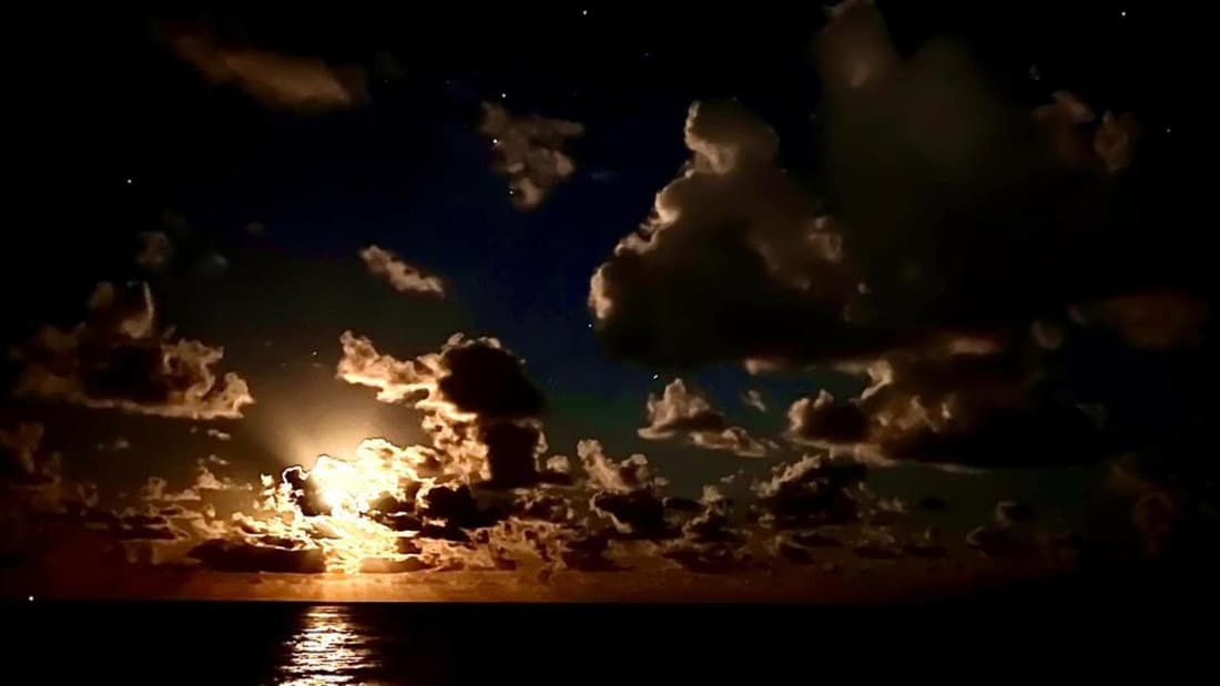 Ti Paradise Là