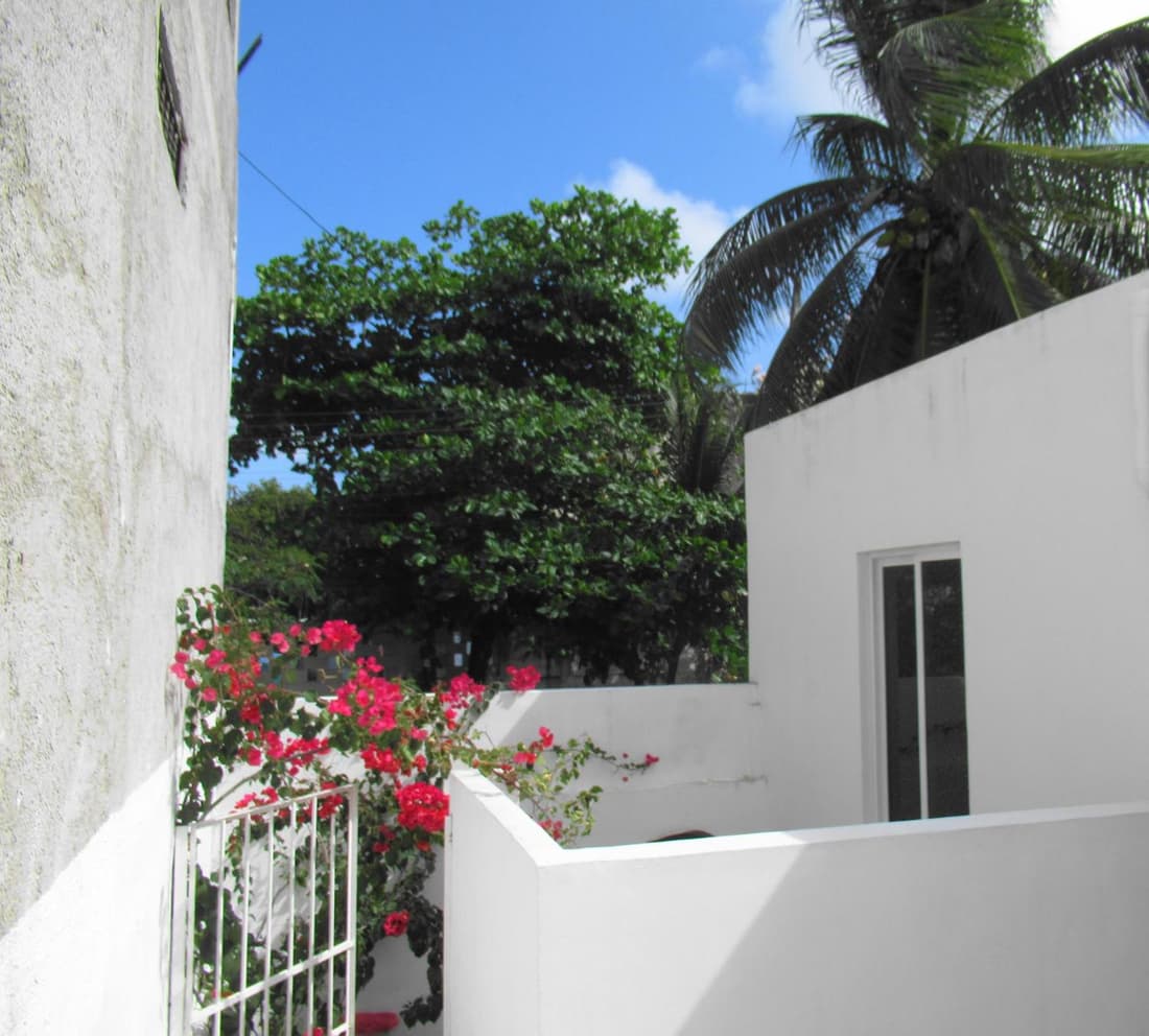 Cocos