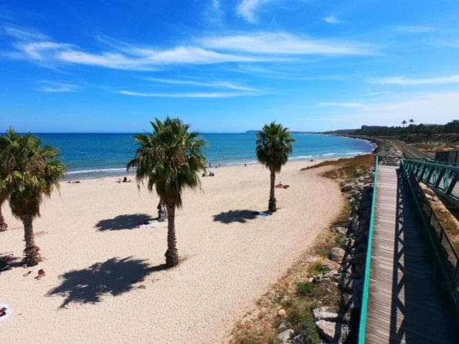 Buen día de Mar