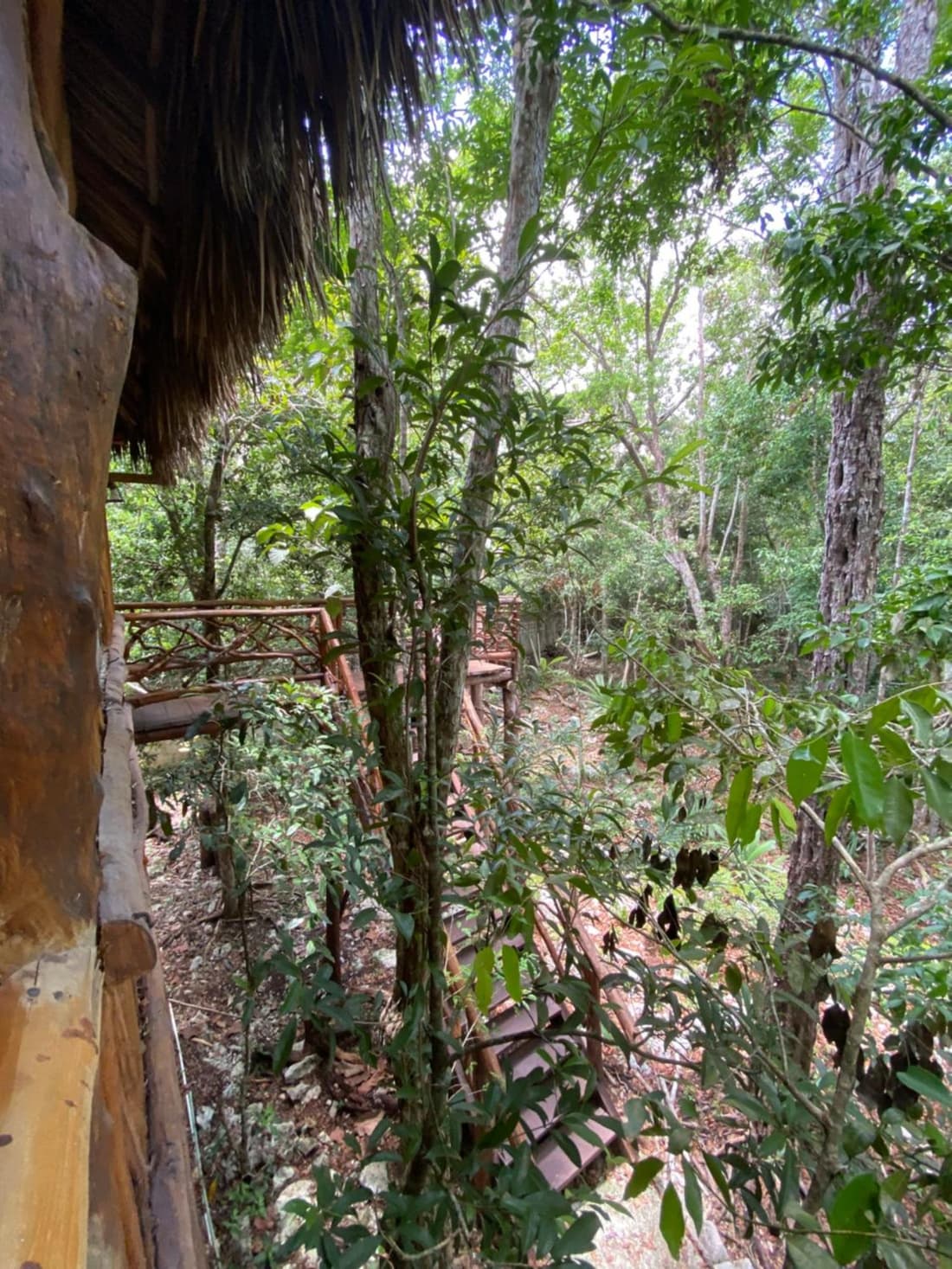 Casa El Alux Campestre