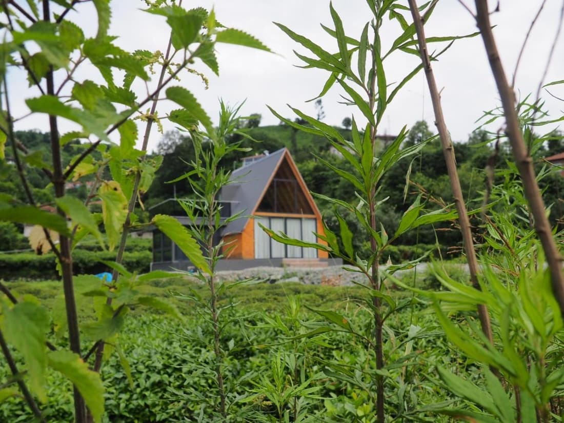 Dere Bungalov