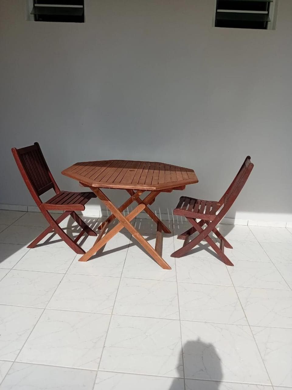 Le Latanier bleuté