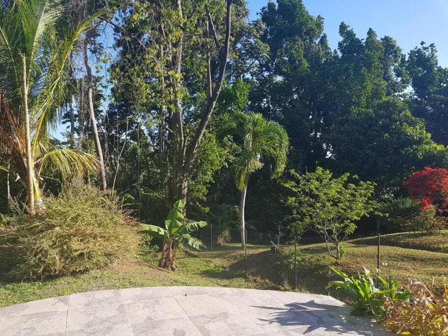 Green Garden