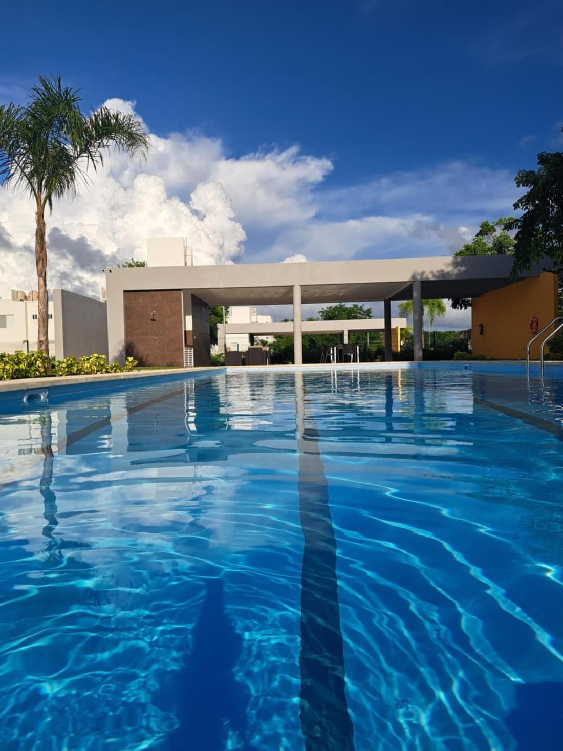 Jardines del sur
