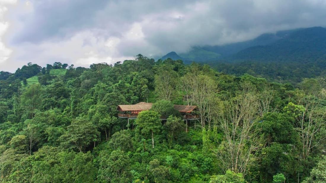 Vythiri Mist Resort