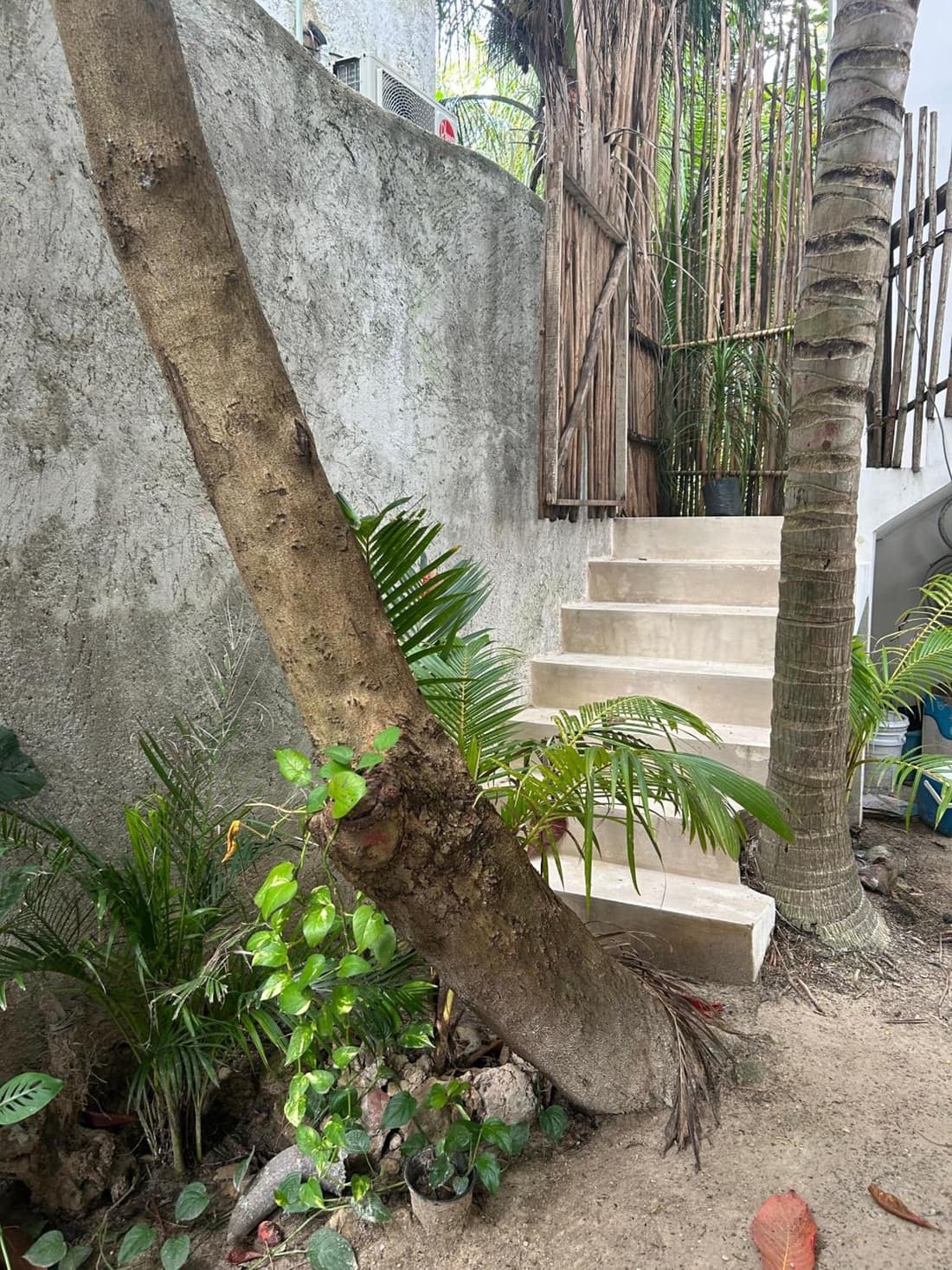 Habitación Coco