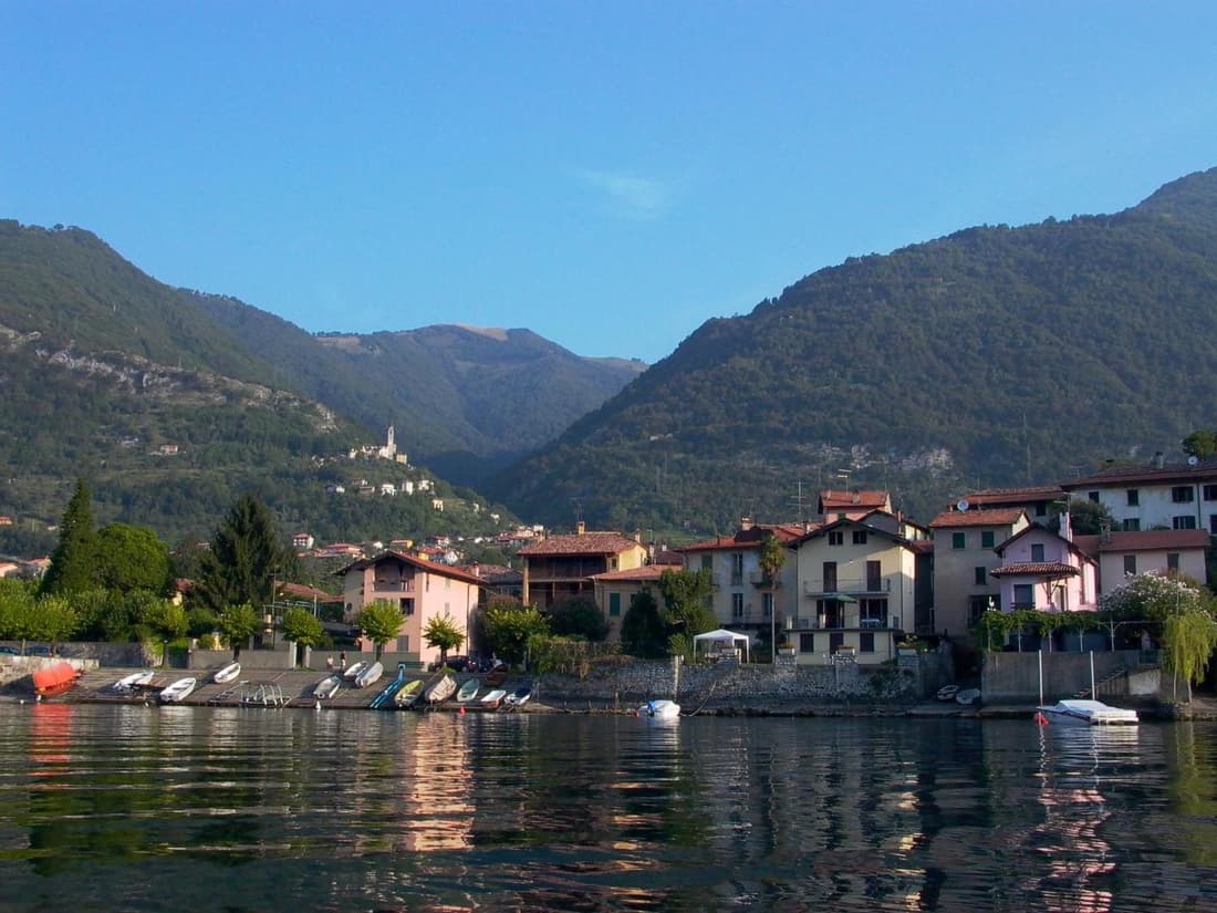 Il Grifo