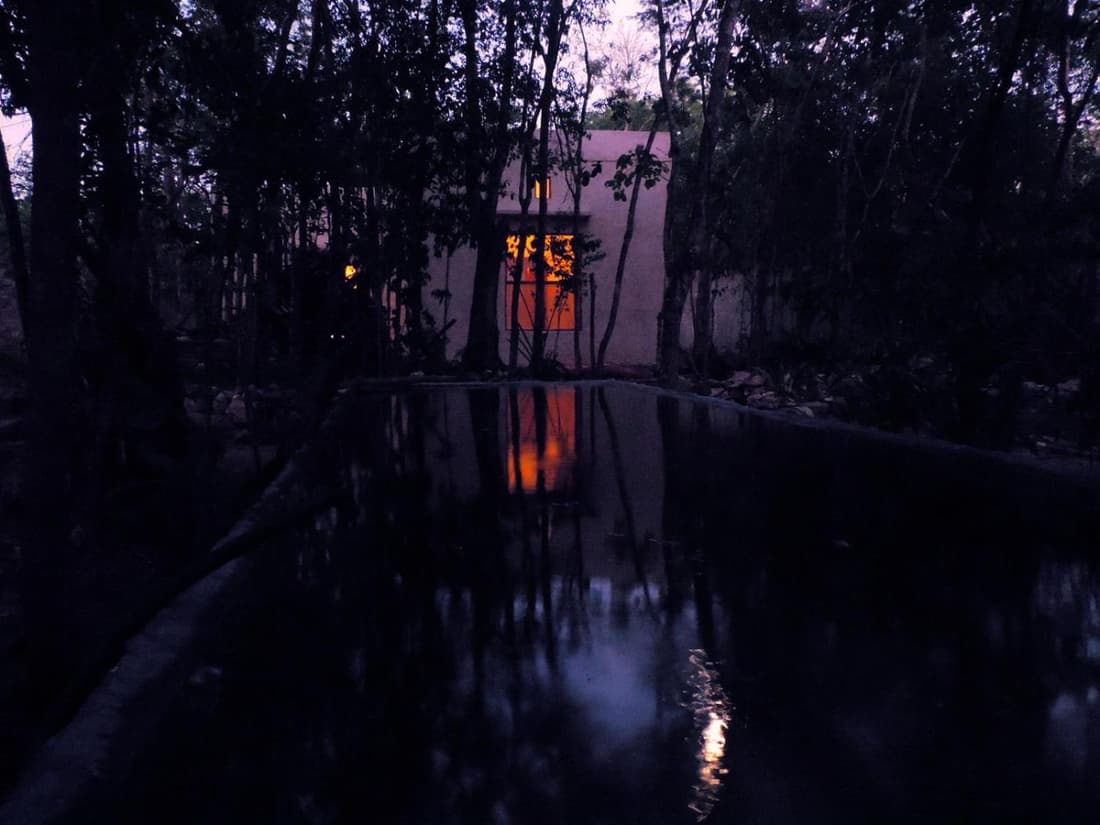 barefoot jungle studios
