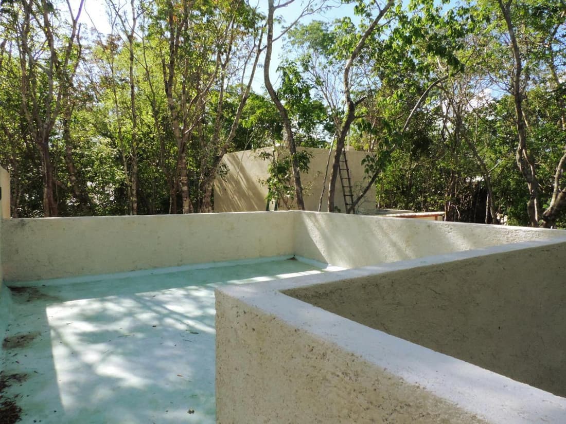 barefoot jungle studios