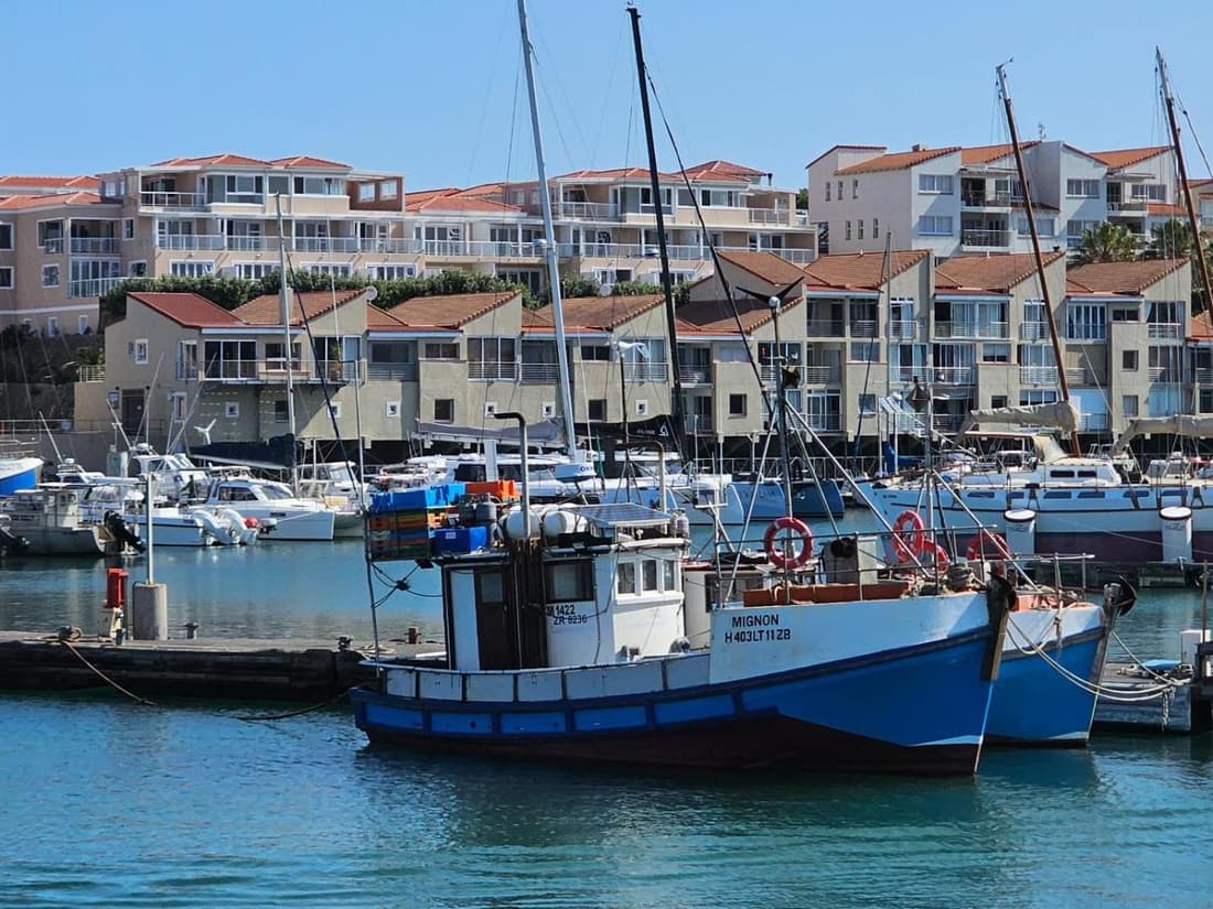 Harbour Club