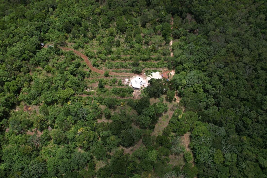 Dome @Jackfruit Jungle Paradise