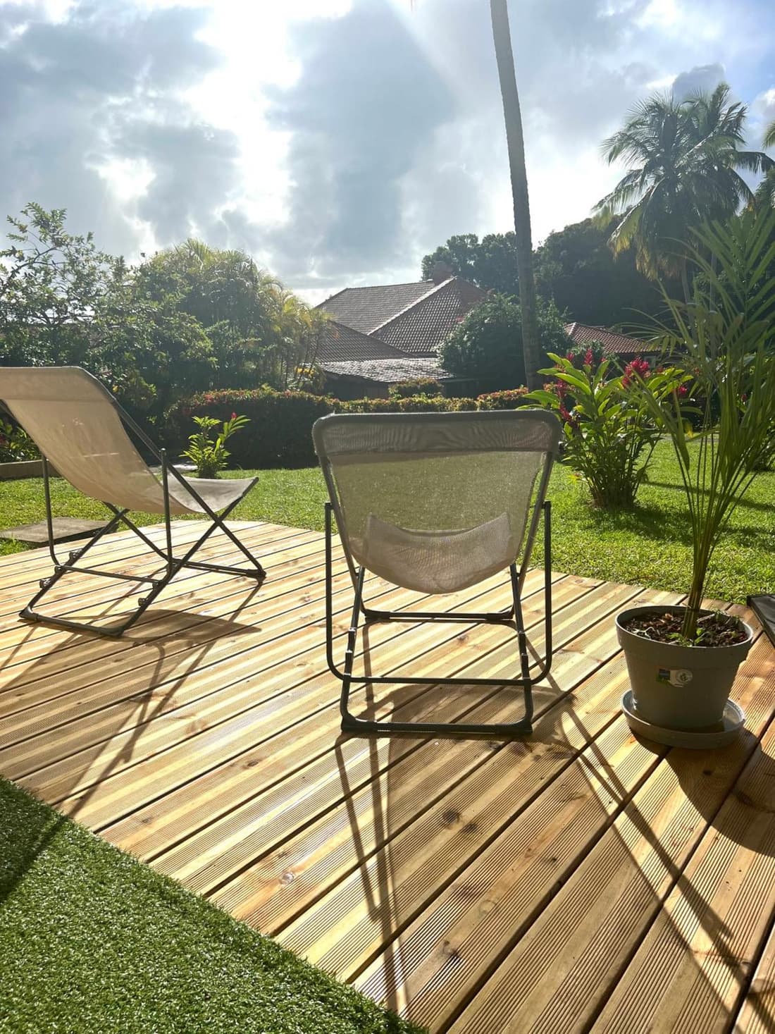 Studio Oiseau du Paradis