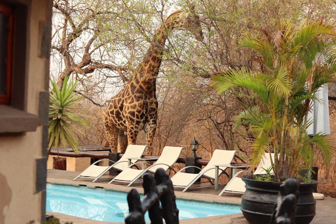 B&B African Rock Lodge