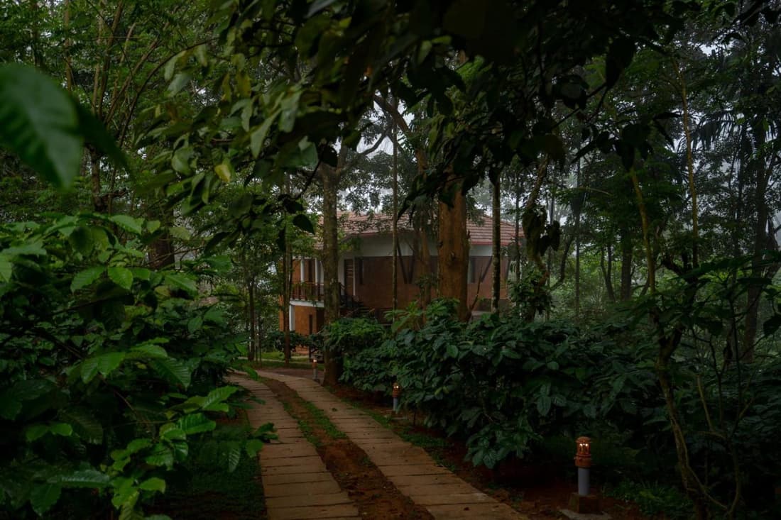 Vythiri Mist Resort