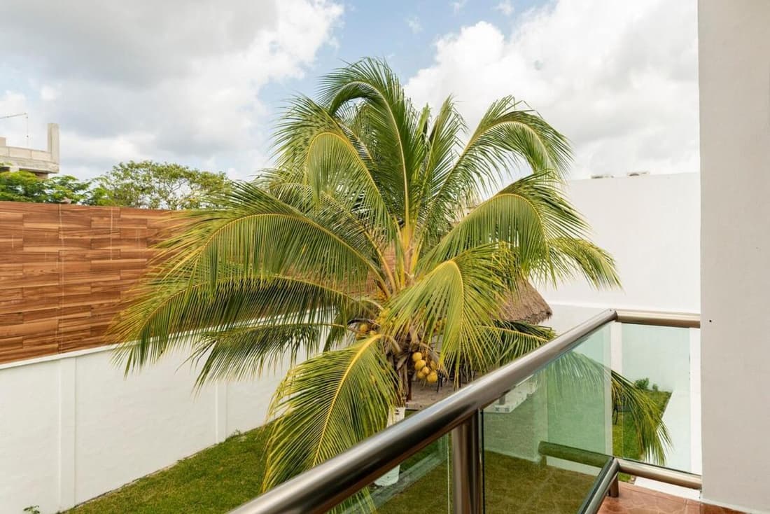 Casa Palancar with beautiful swimming pool and private palapa