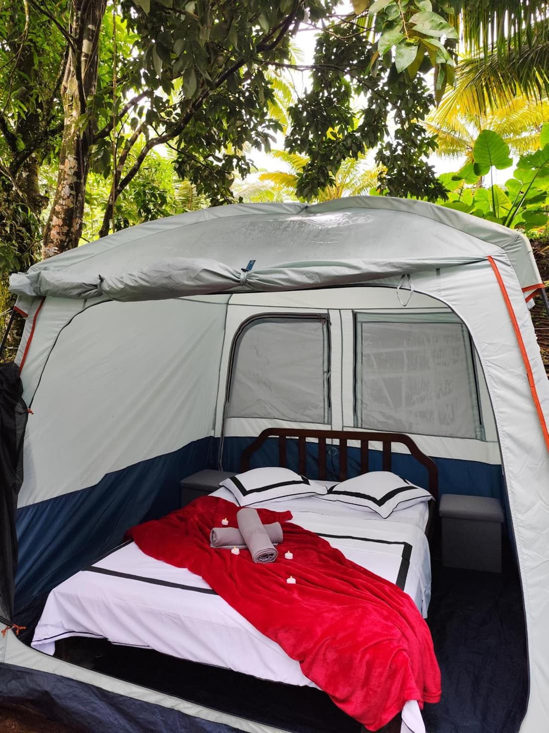 Glamping en pleine nature Rêve et Racines