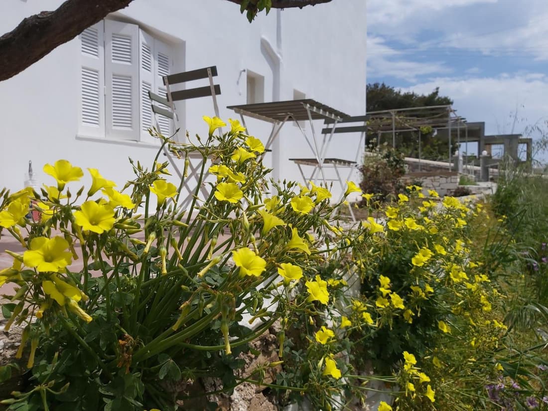 Dandelion Paros Apartments I-II