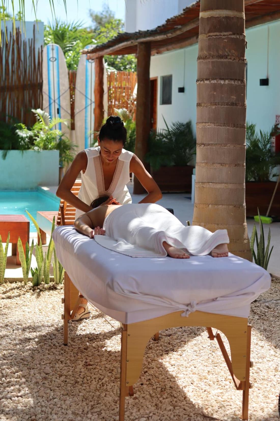 Shankara Holbox