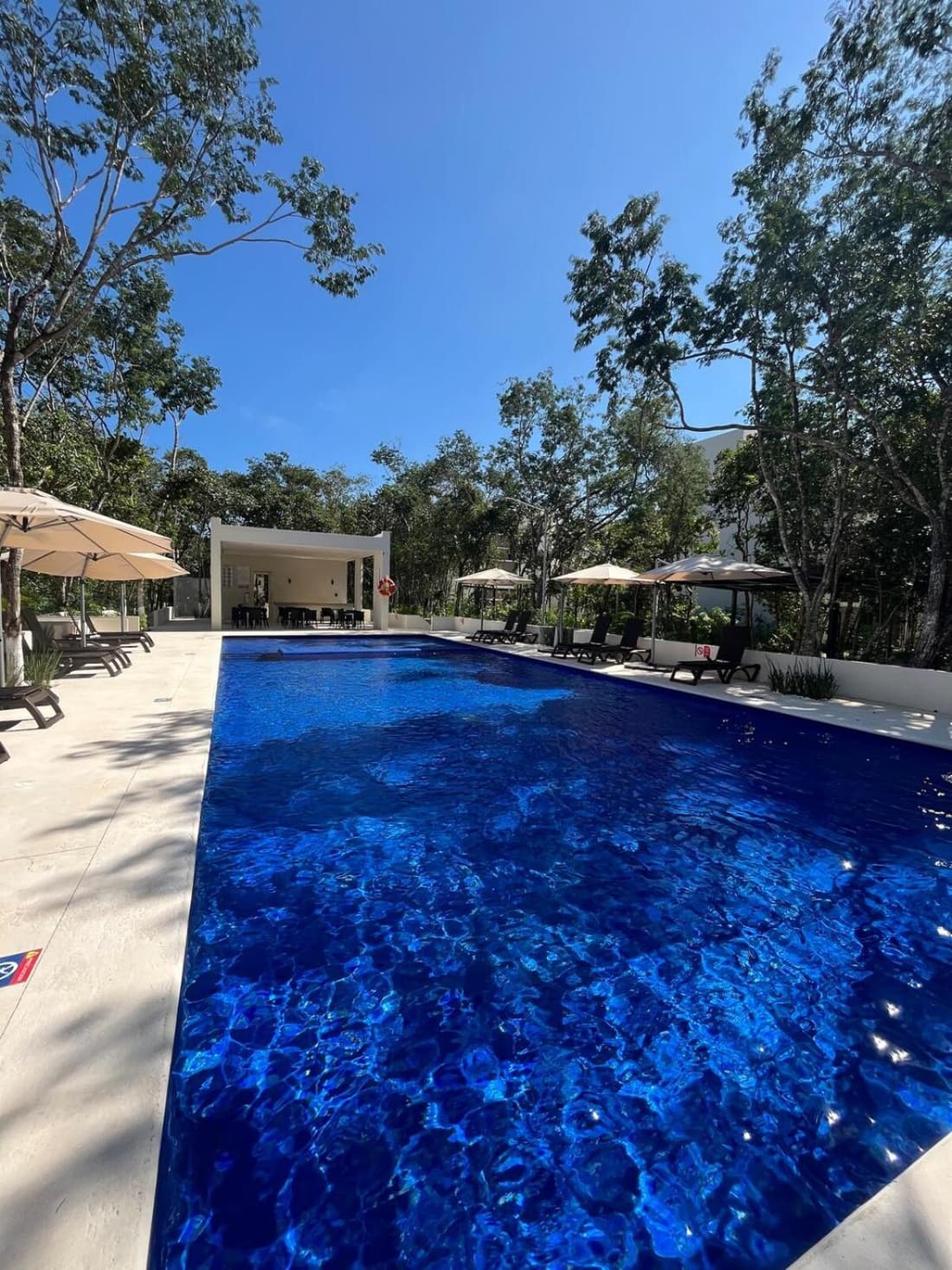 Casa Bambú, apartment in the best part of Playa del Carmen