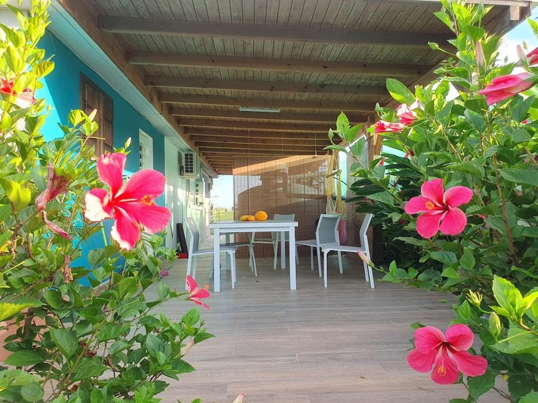 Le jardin d'Elissya