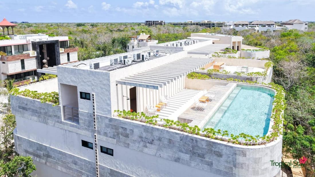 Kaabin Jungle Living C5