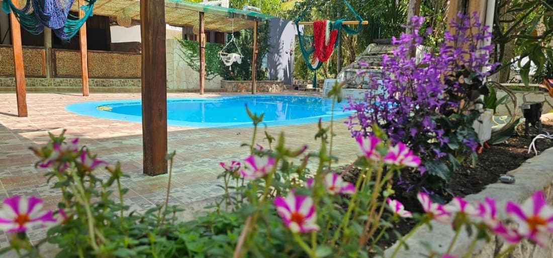 Casa Jabalí Ecocchic
