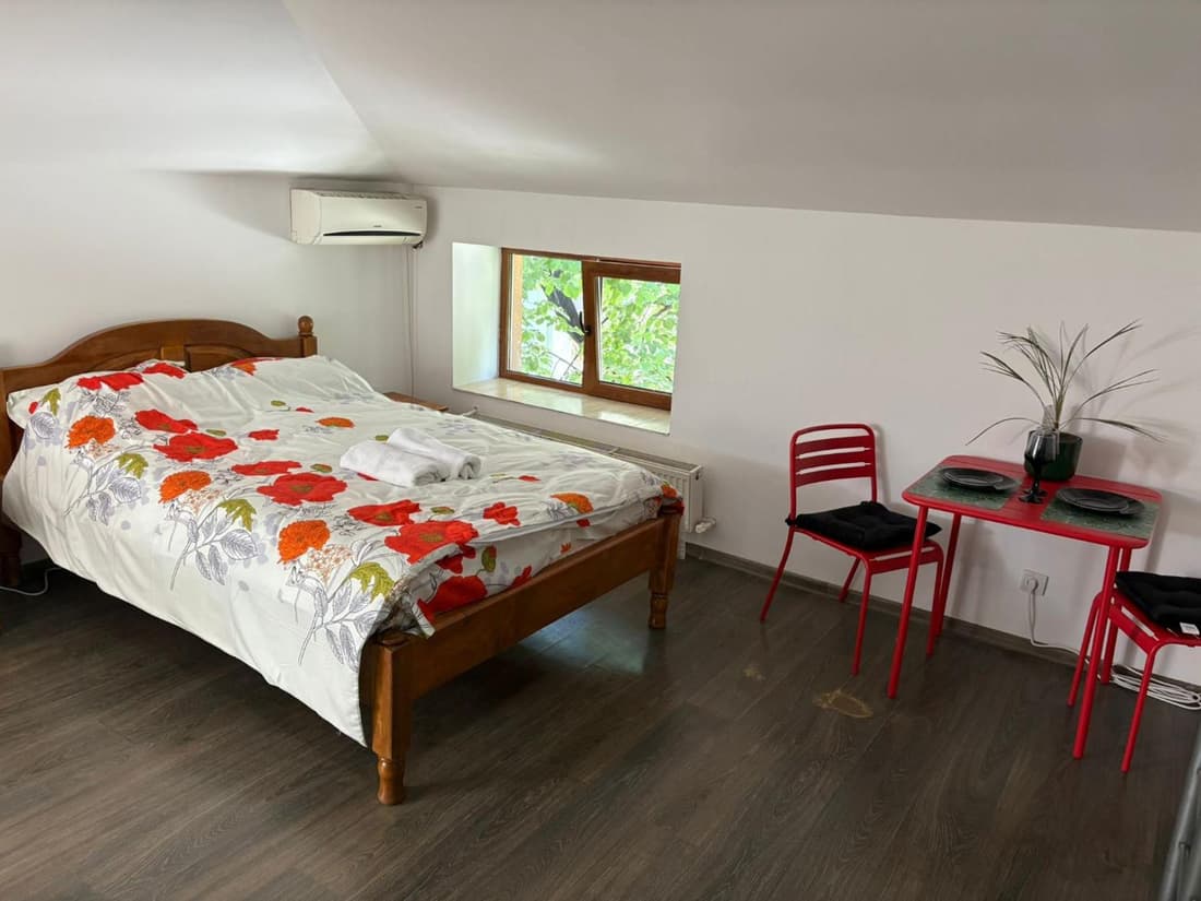 Propriete 12 - Close to downtown, Spiridon Hospital, IRO Hospital