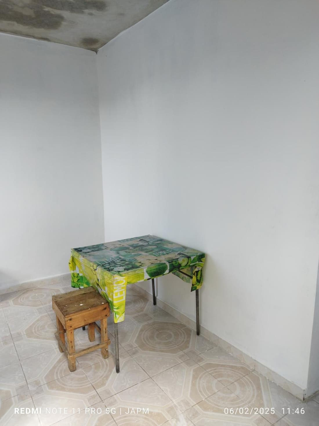 Casa 203