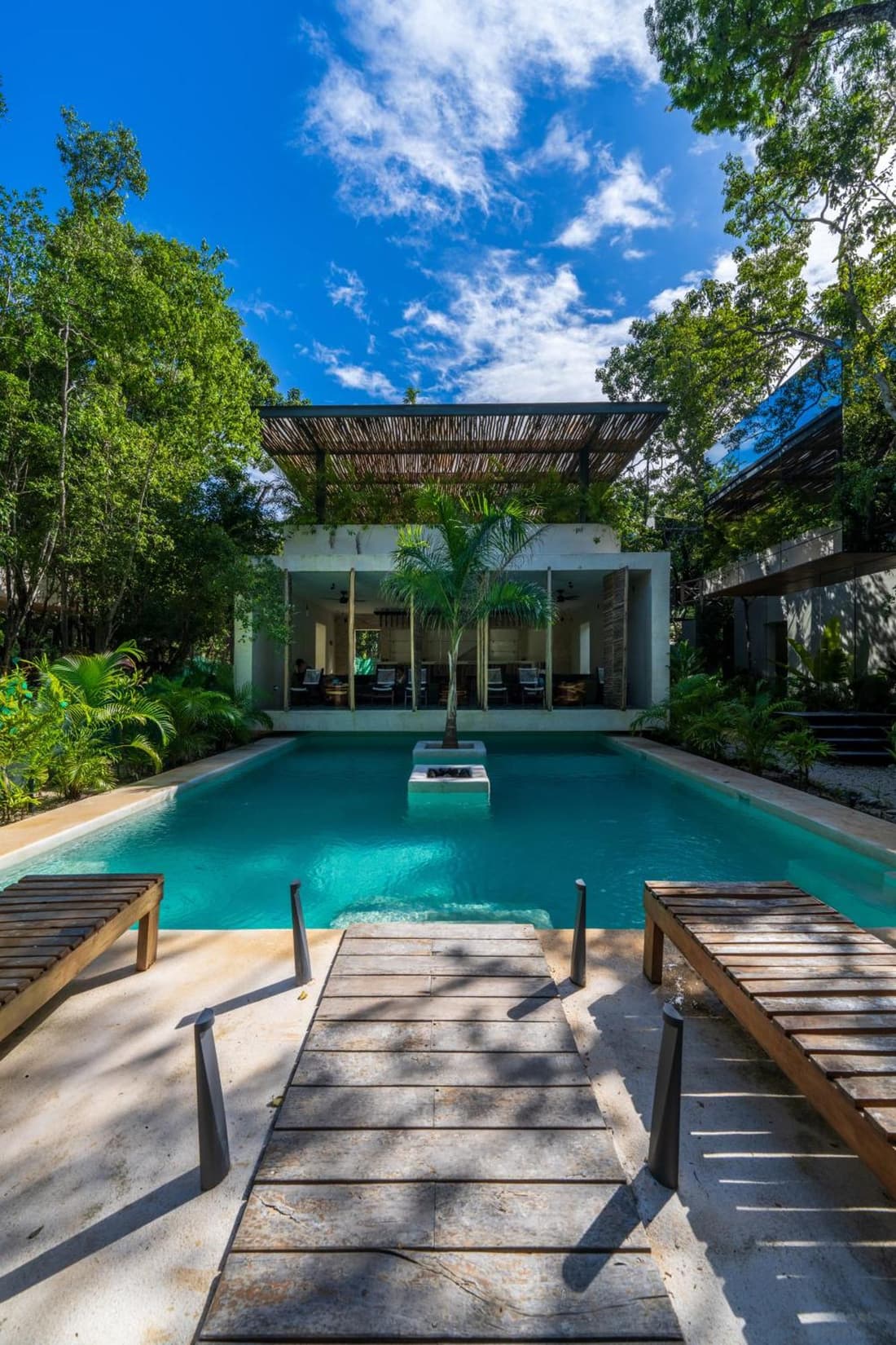 Chay Glass Jungle House